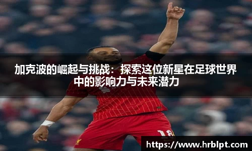 完美体育365平台官网